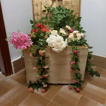Le Rosee * Pachino